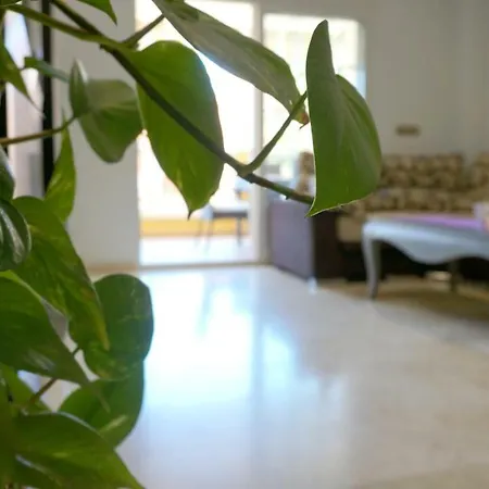 La Caleta - Cabo Roig - De Lujo Apartament *